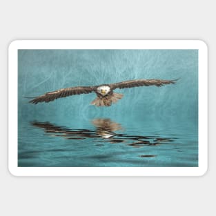 Bald Eagle on Misty Lake Sticker